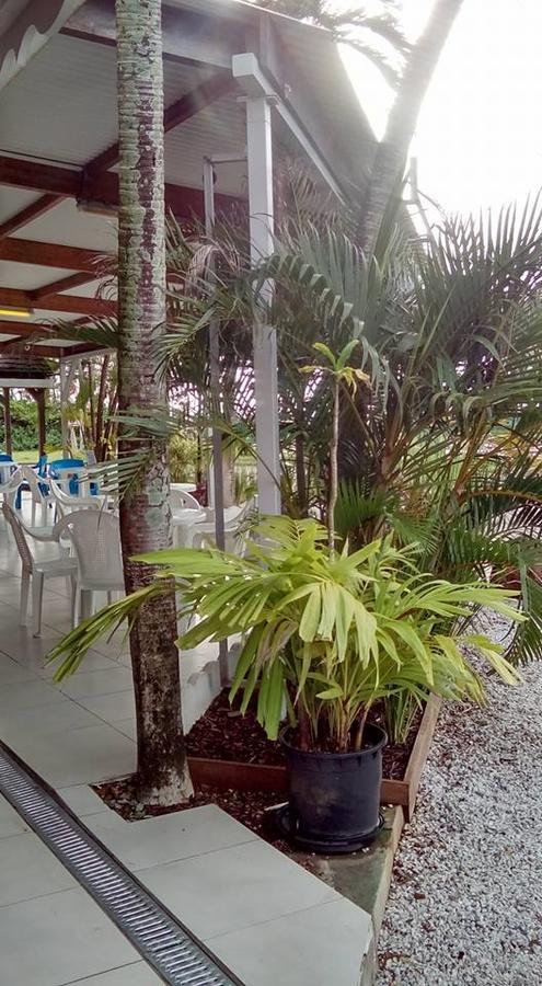 Hotel Des Amandiers Cayenne Ngoại thất bức ảnh
