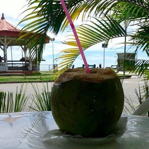 Hotel Des Amandiers Cayenne Ngoại thất bức ảnh